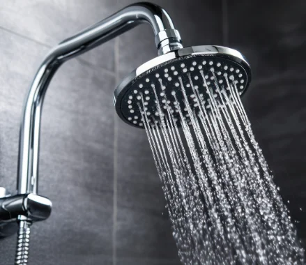 Water Softener Service Shower head